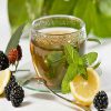 چای سبز و ترکیبات و خواص انتی اکسیدانی