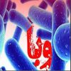 تحقیق در مورد بیماری وبا