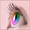 تحقیق درباره چشم - در مورد چشم - جزوه چشم - تحقیق در مورد چشم انسان