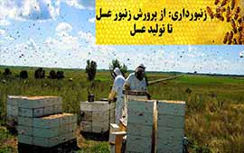 طرح توجیهی نگهداری و پرورش زنبور عسل