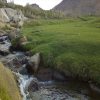 تحقیق در مورد تنوع گياهي و پراكنش گياهان دارويي استان همدان