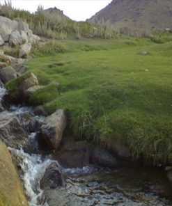 تحقیق در مورد تنوع گياهي و پراكنش گياهان دارويي استان همدان